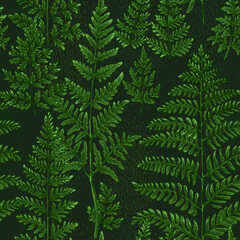 Naklejka na ściany i meble Forest herbs pattern, ferns. Flowers vector drawing. 