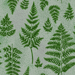 Forest herbs pattern, ferns. Flowers vector drawing.  