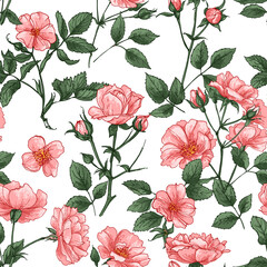 Roses pattern Flowers white drawn on a color background. Vector sketch of flowers. 