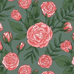 Roses pattern Flowers white drawn on a color background. Vector sketch of flowers. 