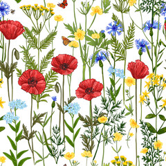Fototapeta premium Wild herbs pattern Wildflowers in summer. Red poppies, cornflowers, forget-me-nots, yellow buttercups, ferns