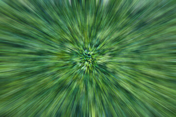 The abstract background radial blurs a cluster of many brilliant green leaves.