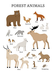Hand drawn poster with forest animals: bear, deer, moose, raccoon, fox, wolf, squirrel, lynx, owl. Cute childish illustration with woodland animals for nursery design, baby apparel and prints