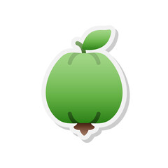 Guava sticker icon, Vector, Illustration.