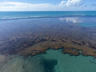 Amazing coral reef in the middle of the sea in Porto Seguro, Bahia, Brazil - natural beauty aerial drone view