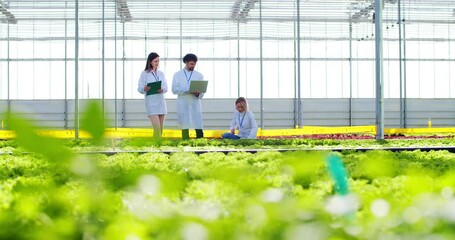 Female agricultural expert showing bunch of organic greenery to laboratory assistants during farm inspection. Workers taking research notes on laptop and clipboard to produce better future results. - Powered by Adobe