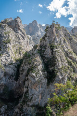 mountain landscape in the mountains