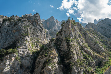 image of the Picos de Europa in Asturias, Spain