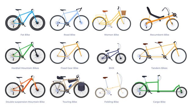 Illustrations of different types of bicycles for leisure and various sports. Two-wheeled transport. Vector illustration