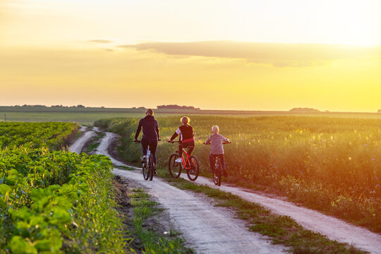 Sports family riding bicycles. mother and her children ride bicycles in the countryside at sunset