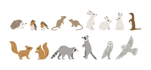 Hand drawn forest animals collection: hedgehog, bird, mouse, rabbit, squirrel, raccoon, owl and weasel. Vector woodland set with cute characters. Vector illustration for childish design