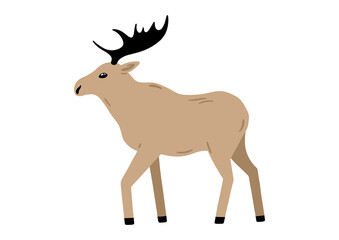 Hand drawn illustration with adorable moose. Cute forest character. Vector lovely elk in flat style isolated on white background. Cartoon woodland creature. Childish colorful illustration
