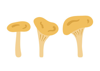 Hand drawn cartoon forest mushrooms: chanterelle. Cute botanicals isolated on white background. Abstract woodland mushrooms in flat style. Childish vector illustration