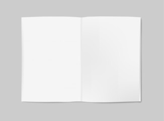 An empty mockup for a news newspaper, vector illustration. Paper newspaper, template for text.