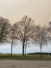 Fototapeta premium colourful sky