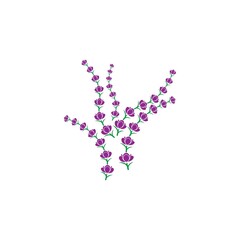 Fresh Lavender flower logo vector