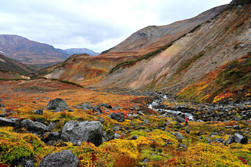 autumn colors of the mountain tundra near the Paratunsky waterfall in Kamchatka