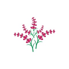 Obraz na płótnie Canvas Fresh Lavender flower logo vector