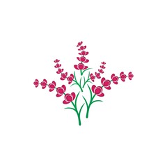 Fresh Lavender flower logo vector