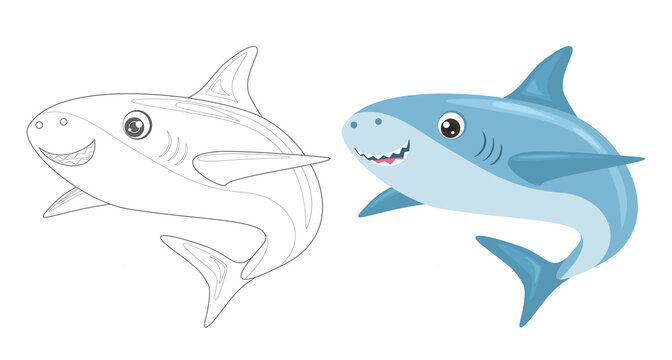 Coloring page outline of cartoon shark. Coloring book for children. Funny vector ocean animals, fish. Simple flat illustration.