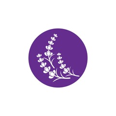 Fresh Lavender flower logo vector