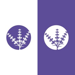 Fresh Lavender flower logo vector