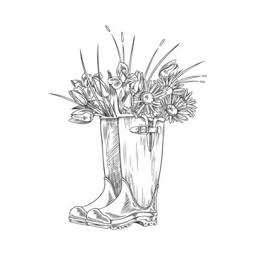 Hand drawn rubber welly boots with bouquet of tulips and chamomiles inside, sketch style