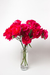 Red roses on a white background. Bouquet of red roses. Beautiful flowers