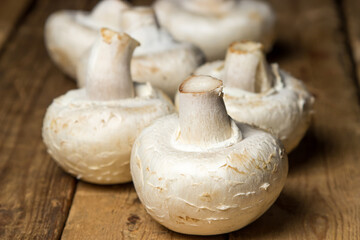 Champignon mushrooms on a wooden background. Delicious and healthy vegetable. Vegetarian food