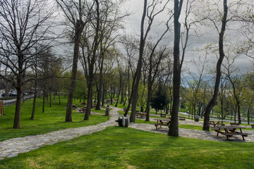 A park in Istanbul in spring. big trees. walking paths, green lawns and picnic tables