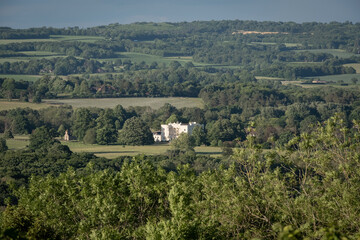 Fototapeta na wymiar View of Duncan and Petworth, West Sussex