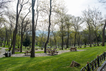 A park in Istanbul in spring. big trees. walking paths, green lawns and picnic tables