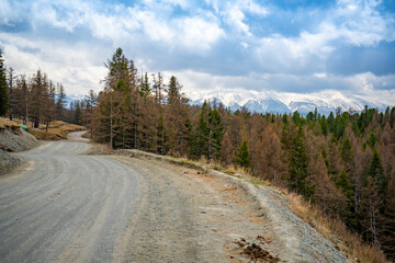 Fototapeta na wymiar Road on the background of beautiful mountains in spring forest, Altai, Russia