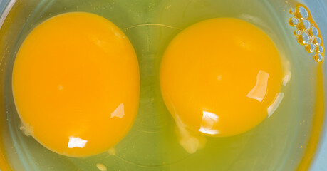 Macro shot of two yellow chicken egg yolks and egg whites