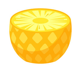 Pineapple Slice Tropical Fruit. Vector illustration