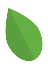 Simple cartoon leaf. Vector illustration