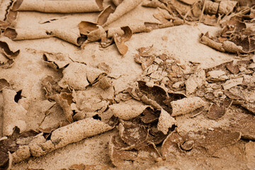Close up of crack soil and desert in dry season textures, hot summer. Texture of sunny dried earth