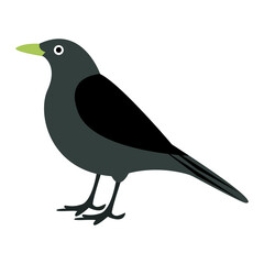 Сute little colorful bird isolated on a white background. Design for home decoration, wall art, social media post and story background vector illustrator. colorful hand drawn vector. Elements.
