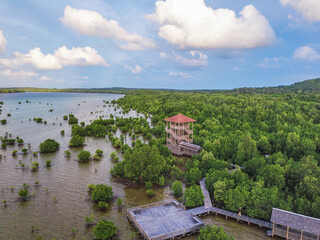 Mangrove Forest With Viewing Post in Karimun Jawa National Park Indonesia