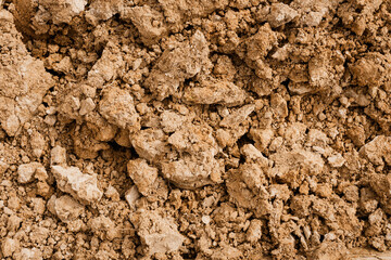 Close up of crack soil and desert in dry season textures, hot summer. Texture of sunny dried earth