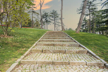 A park in Istanbul in spring. big trees. walking paths, green lawns and picnic tables