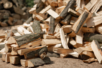 A stacked heap of chopped firewood for the stove. Agriculture