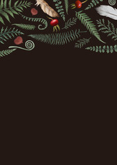 Fototapeta premium Greeting, invitation, thank you card on dark background. Forest greenery design: feathers, red berries, fern and oak green leaves foliage frame border template