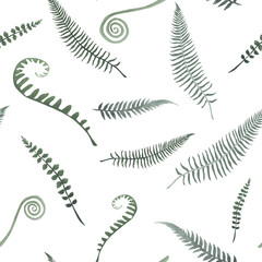 Green fern floral pattern with forest leaves. Botanical garden illustration on white background.