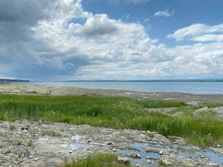 Fototapeta na wymiar Rivage à marée basse par une journée nuageuse. Bord de mer rocailleux avec quelques herbes vertes. Paysage avec fleuve à l'horizon.