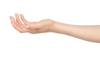 Woman hand shows virtual holding something, on white background