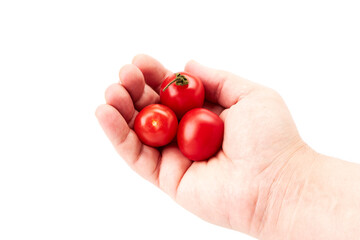 Hand of a man holding three red cherry tomatoes