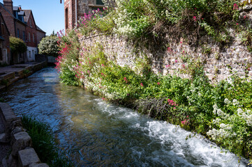 Obraz premium Small river flows throughout beautiful French village Veules-les-Roses, old houses and flowers