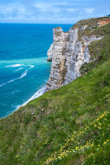 Fototapeta na wymiar View from chalk cliffs near Porte d'Aval arch in Etretat on summer wild flowers and blue water of Atlantic ocean, Normandy, France. Tourists destination.