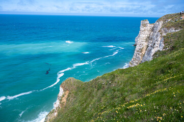 View from chalk cliffs near Porte d'Aval arch in Etretat on summer wild flowers and blue water of Atlantic ocean, Normandy, France. Tourists destination.